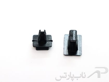 تصویر  خار رکاب ساینا نری- مادگی